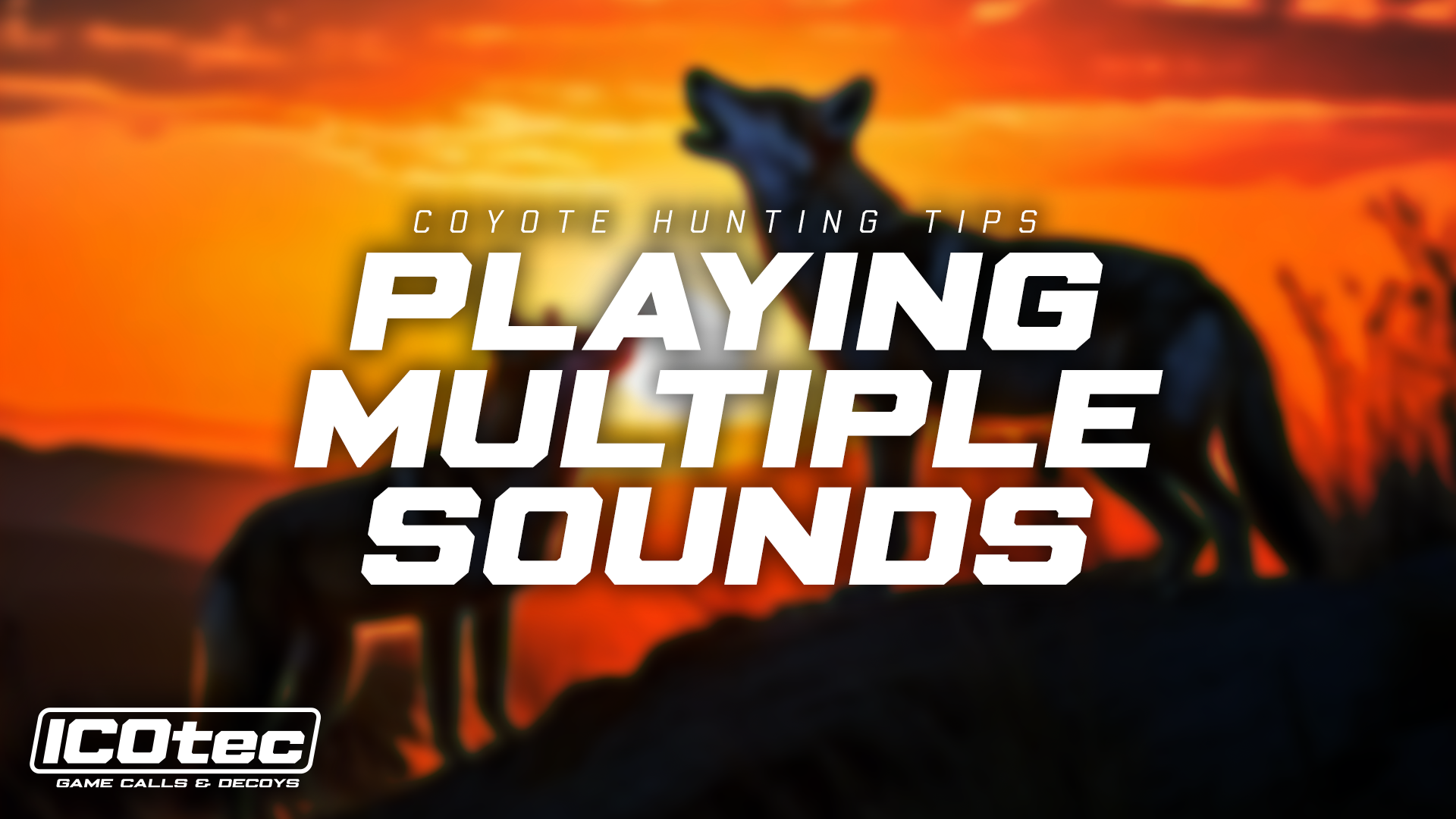 Load video: ICOtec Game Calls and Decoys on YouTube